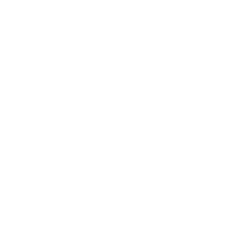 Prélude de l'Aube : Bienvenue dans la Guilde, light novel
